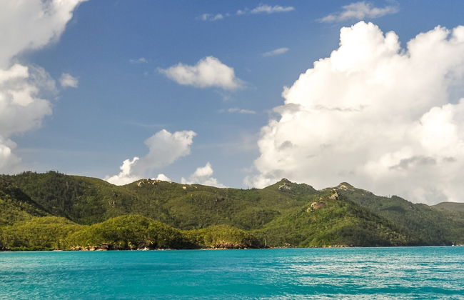 Escursione all'isola di Whitsunday e Hook Island con snorkeling - Foto 9