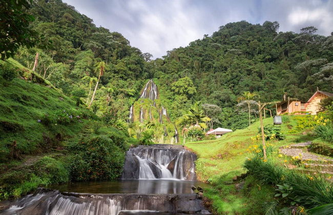 Excursión privada a los Termales Santa Rosa de Cabal - Foto 1