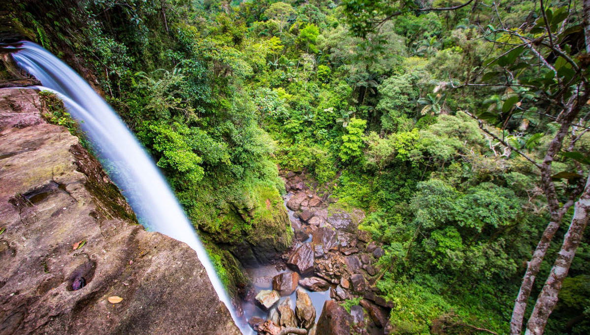 Excursión privada a los Termales Santa Rosa de Cabal - Foto 1