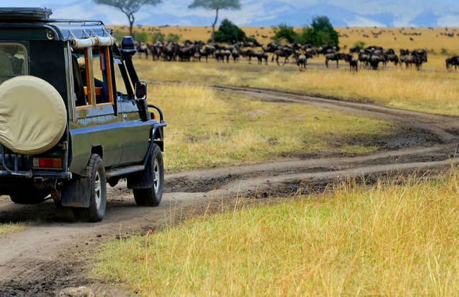 Maasai Mara 3 Day Safari - Photo 11