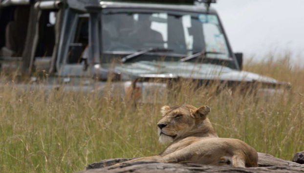 Maasai Mara 3 Day Safari - Photo 2