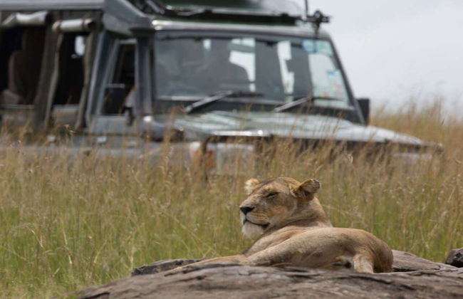 Maasai Mara 3 Day Safari - Photo 2