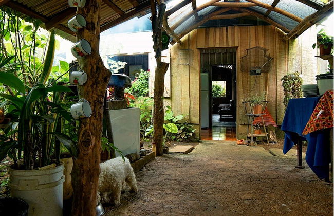 Visite d'une exploitation agricole - Photo 3