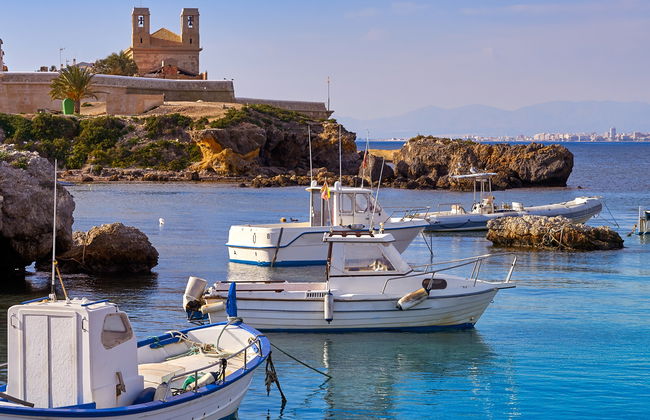 Excursión a la isla de Tabarca y el palmeral de Elche - Foto 3
