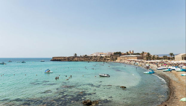 Excursión a la isla de Tabarca y el palmeral de Elche - Photo 2