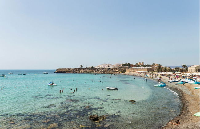 Excursión a la isla de Tabarca y el palmeral de Elche - Foto 2