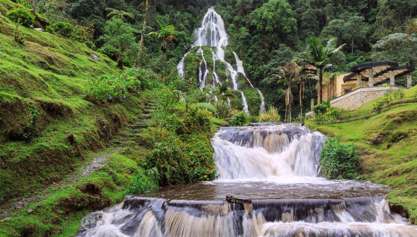 Excursión privada a las Termales Santa Rosa de Cabal - Photo 3