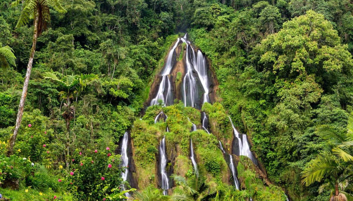 Excursión privada a las Termales Santa Rosa de Cabal - Photo 1
