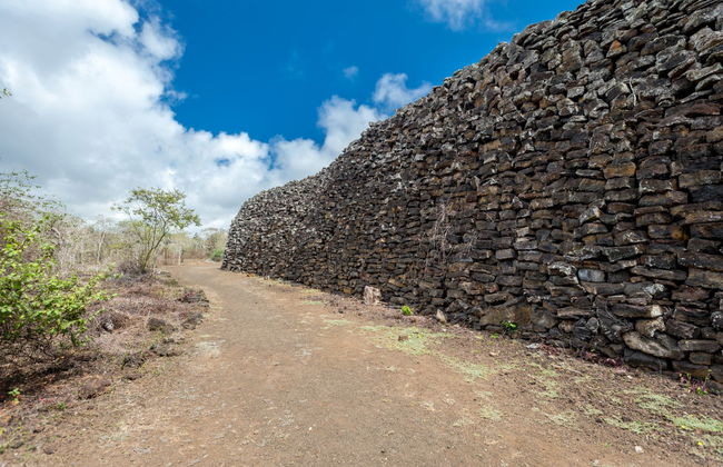Isabela Island Bike Rental - Photo 2