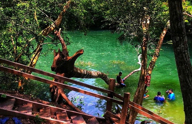 Excursión al arroyo Tagatiyá - Foto 6