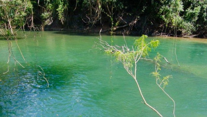 Tagatiyá Creek Day Trip - Foto 1