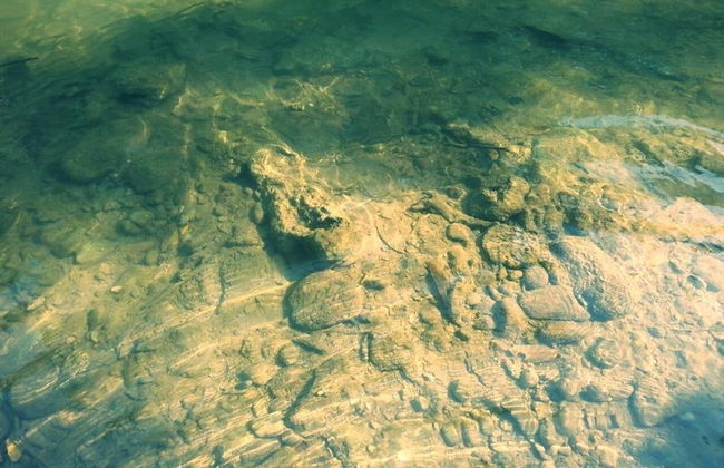 Excursión al arroyo Tagatiyá - Foto 5