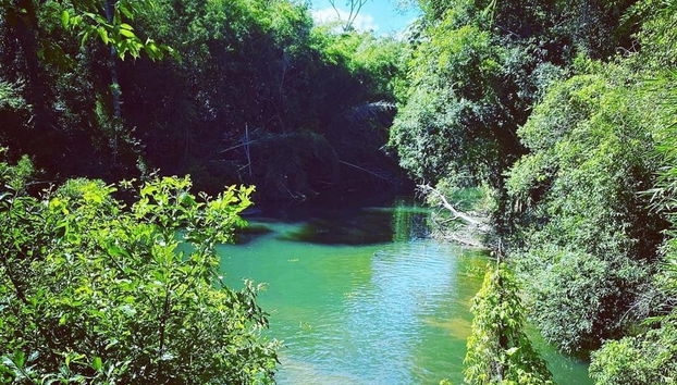 Tagatiyá Creek Day Trip - Foto 2