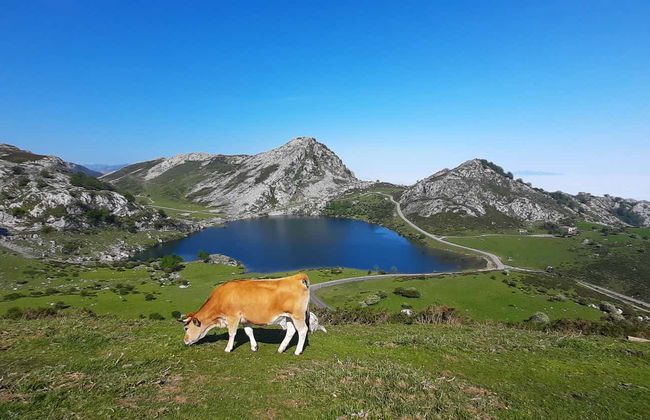 Excursión a los lagos de Covadonga en grupo reducido - Foto 9