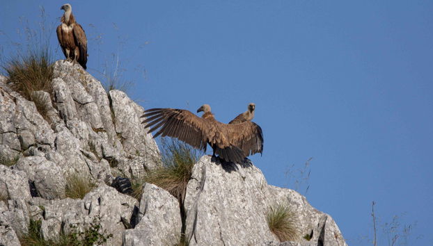 Lakes of Covadonga Small-Group Day Trip - Photo 3