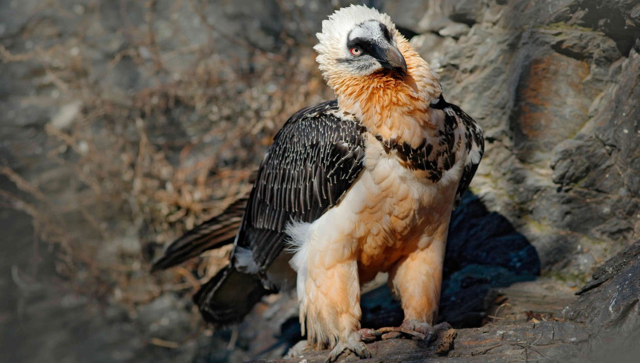 Lakes of Covadonga Small-Group Day Trip - Photo 1