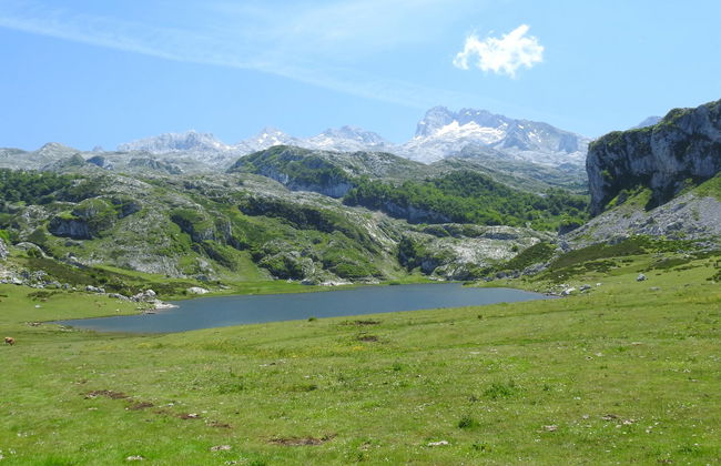 Excursión a los lagos de Covadonga en grupo reducido - Foto 5