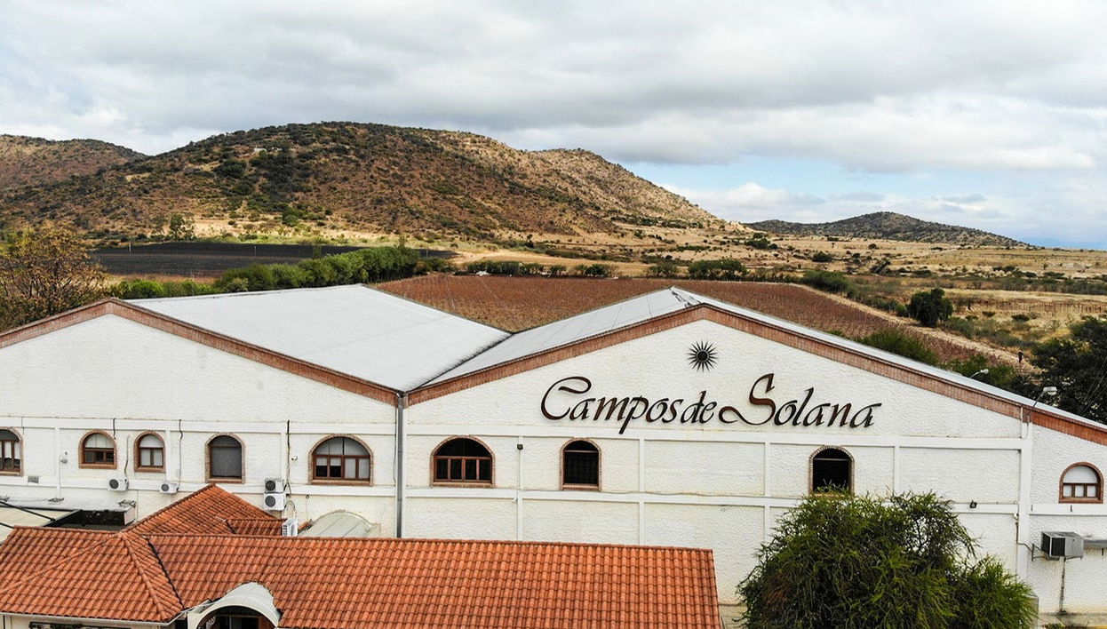 Tour por las bodegas del valle de la Concepción - Foto 1