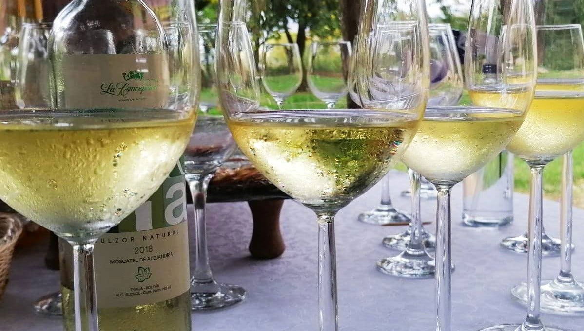 Valle La Concepción Bodegas Tour