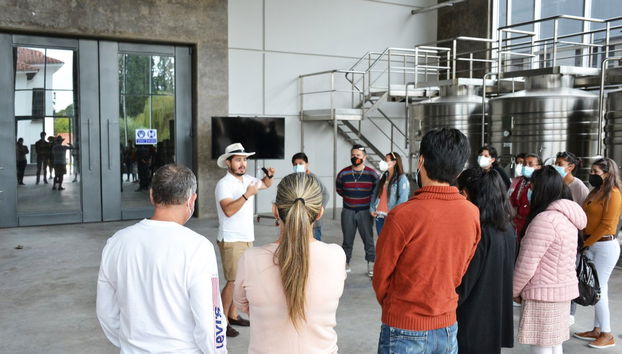 Tour por las bodegas del valle de la Concepción - Foto 2