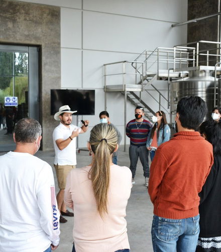 Foto de Tour por las bodegas del valle de la Concepción