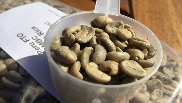 Excursión a Villa Rica y laguna El Oconal - Foto 2