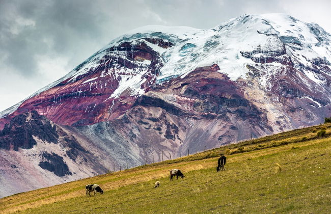 Hiking the Chimborazo Volcano - Foto 7