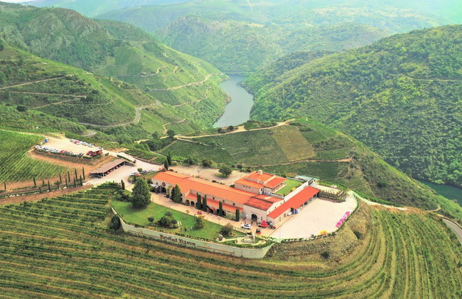 Visita à adega Regina Viarum - Foto 6