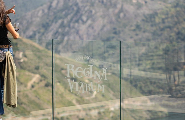Visita à adega Regina Viarum - Foto 7
