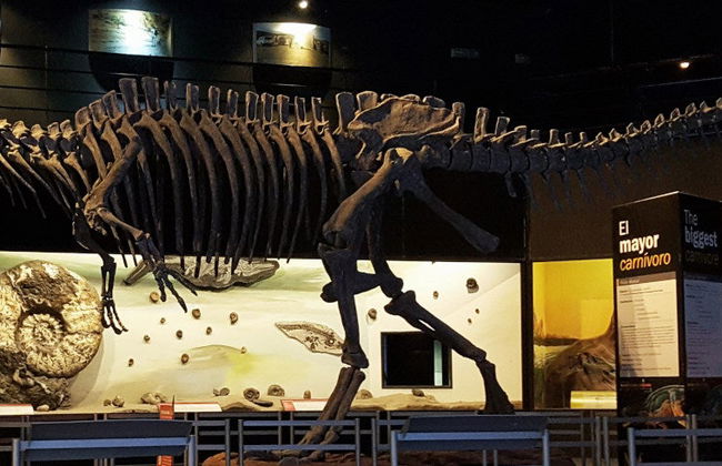 Entrada al Museo Paleontológico - Foto 7