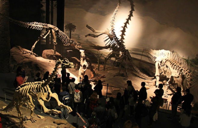Entrada al Museo Paleontológico - Foto 3