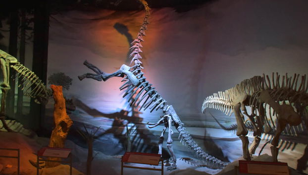 Ingresso do Museu Paleontológico - Foto 3