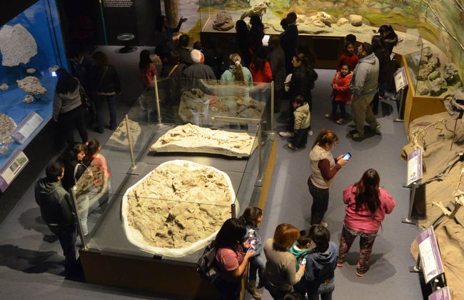 Entrada al Museo Paleontológico - Foto 4