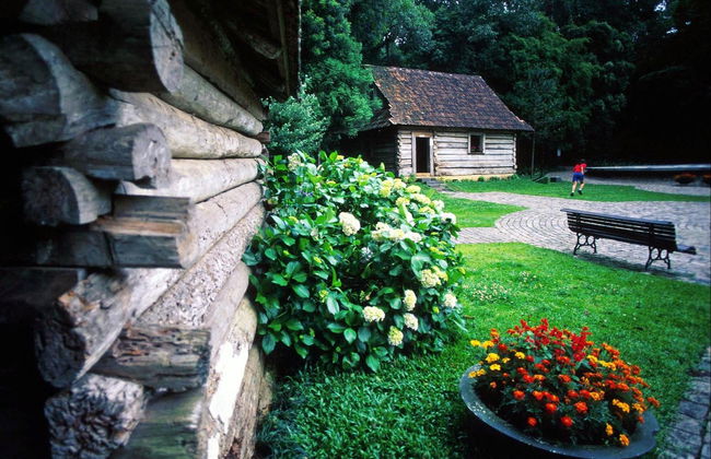 Curitiba Sightseeing Tour - Photo 3