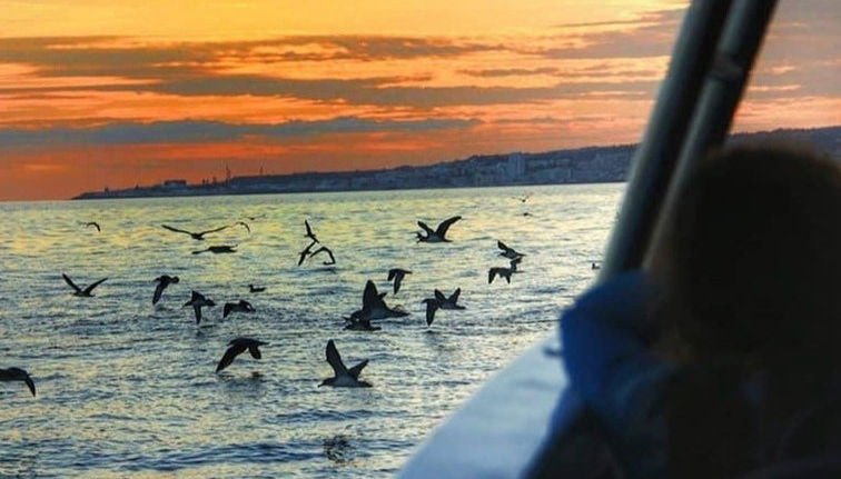 São Miguel Sunset Cruise - Photo 1