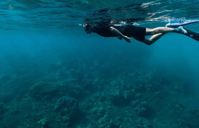 Snorkel en São Miguel - Foto 7