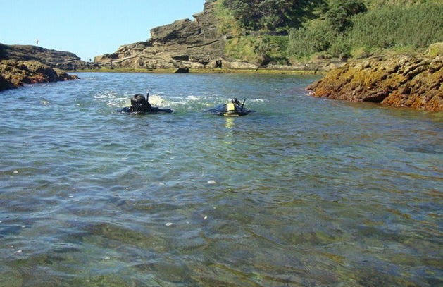 Snorkel en São Miguel - Foto 5