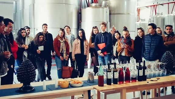 Visita alla cantina Quattrocieli