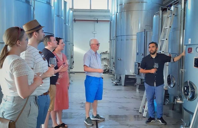 Visita a la bodega Quattrocieli - Foto 2