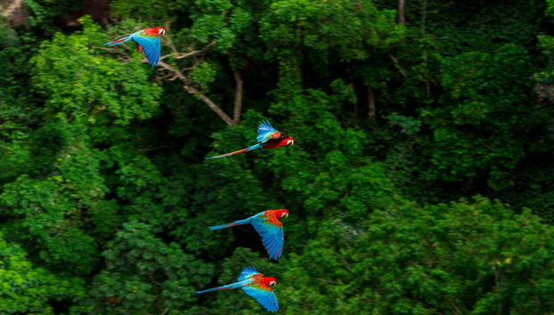 Buraco das Araras Hiking Tour - Photo 5