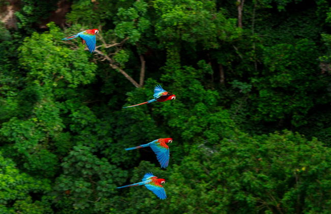 Buraco das Araras Hiking Tour - Foto 7