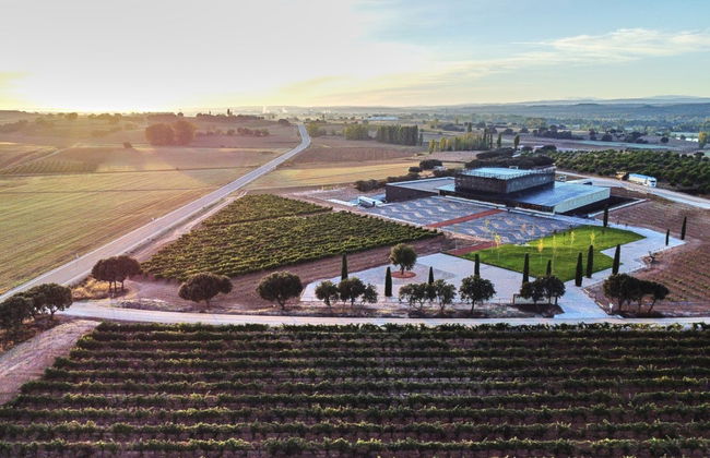 Bela Winery Visit - Foto 5