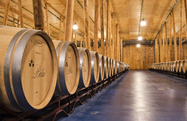 Bela Winery Visit - Foto 6