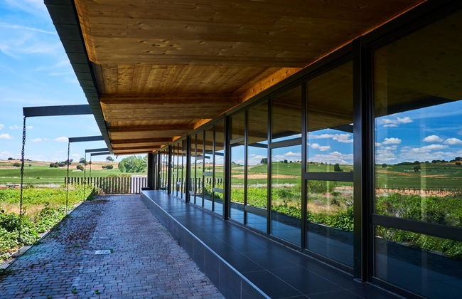 Bela Winery Visit - Foto 2