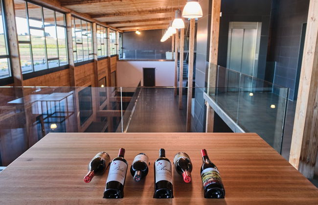 Bela Winery Visit - Foto 4