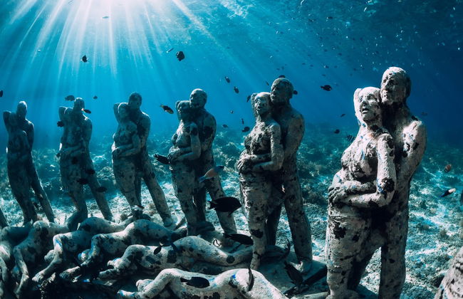 Snorkeling dans les îles Gili - Photo 4