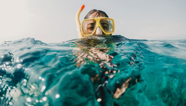 Snorkeling alle isole Gili - Foto 2