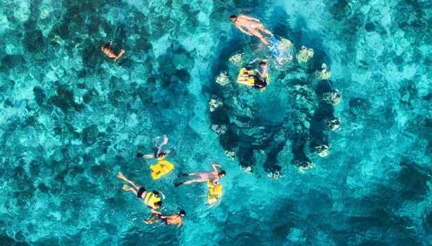 Snorkeling alle isole Gili - Foto 3