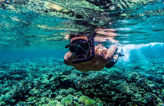 Snorkeling dans les îles Gili - Photo 7