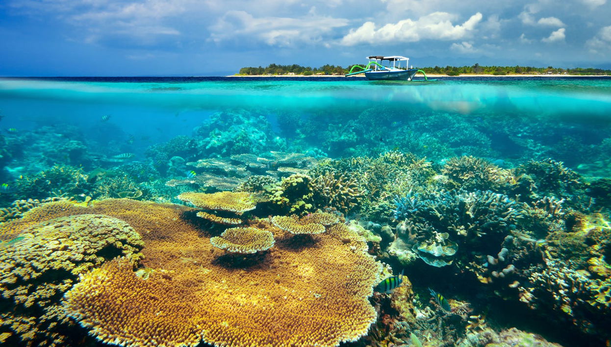 Snorkeling alle isole Gili - Foto 1